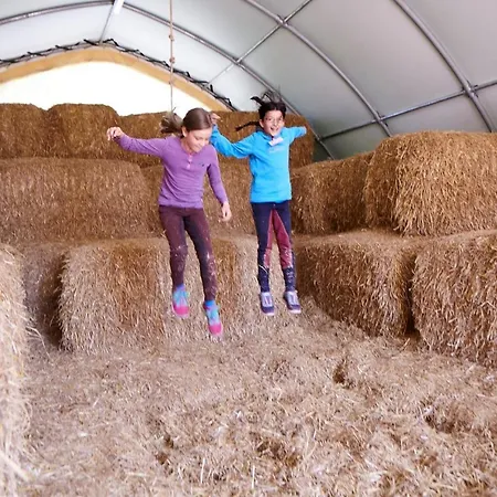 Luxuswellnesshaus Seeigel *