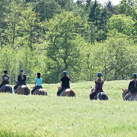Luxuswellnesshaus Seeigel Feriehus