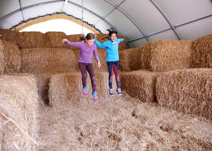 Luxuswellnesshaus Seeigel *