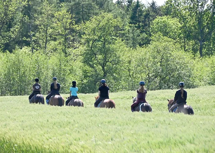 Luxuswellnesshaus Seeigel Vakantiehuis